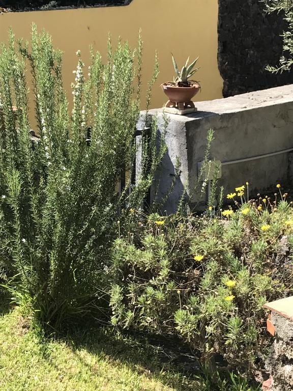 הוילה קטאניה Al Villino מראה חיצוני תמונה