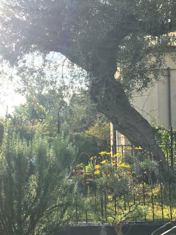 הוילה קטאניה Al Villino מראה חיצוני תמונה